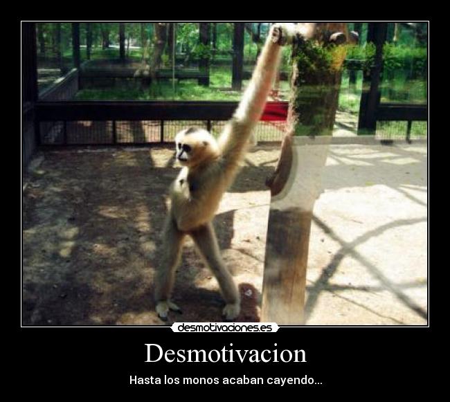 Desmotivacion - 