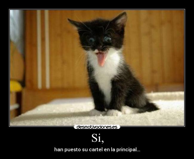 Si, - han puesto su cartel en la principal...