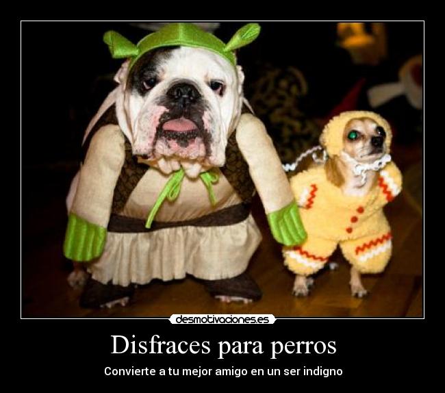 Disfraces para perros - 