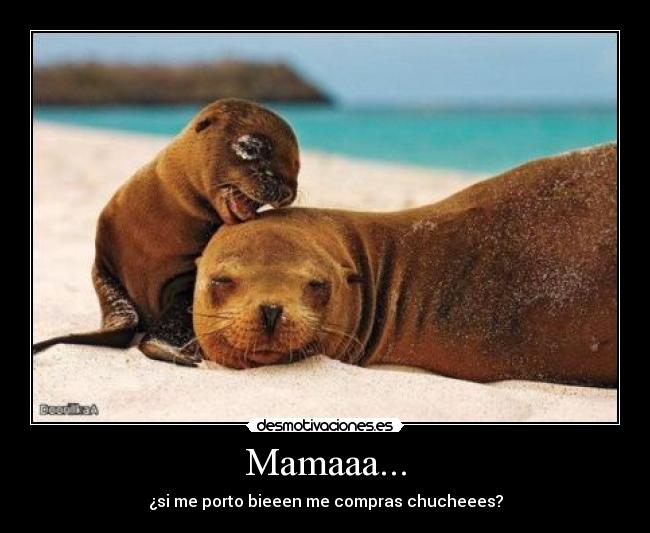 Mamaaa... - 