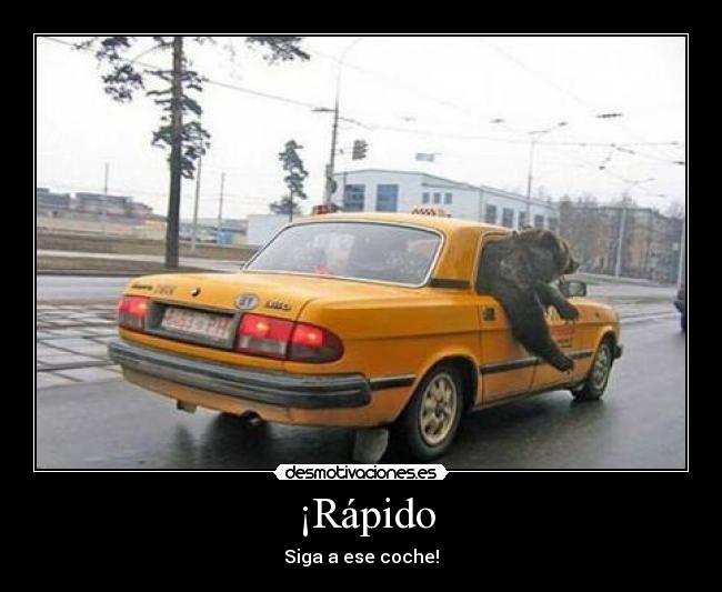  ¡Rápido - Siga a ese coche!