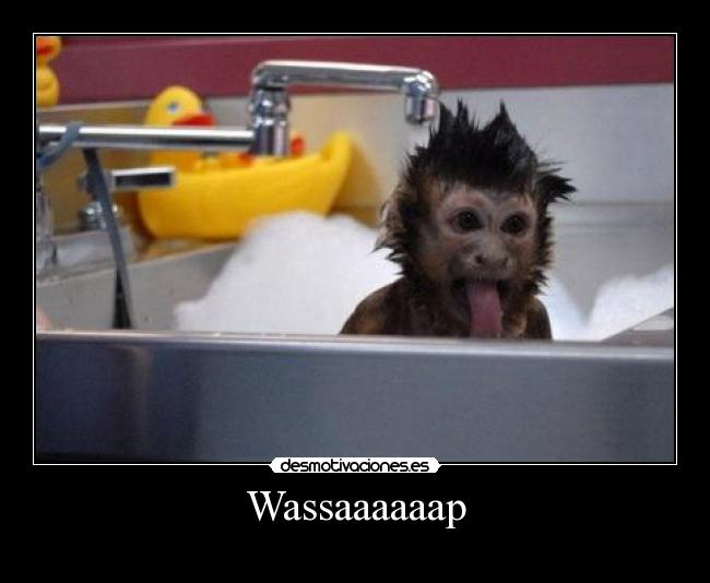 Wassaaaaaap - 
