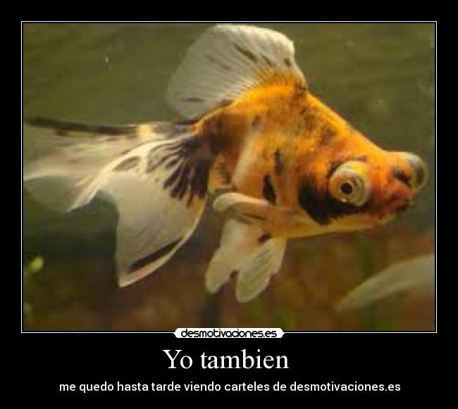 Yo tambien  - 
