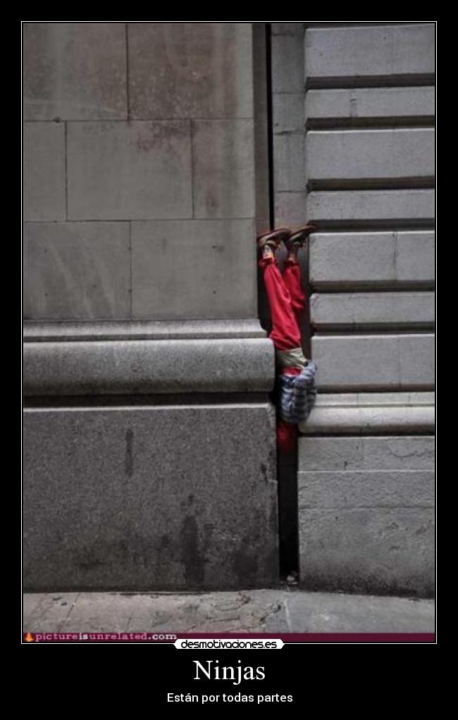 Ninjas -