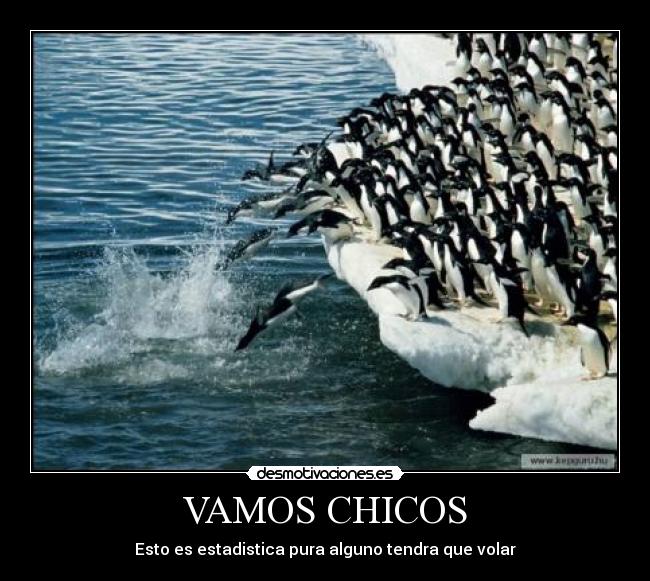 carteles pinguinos desmotivaciones