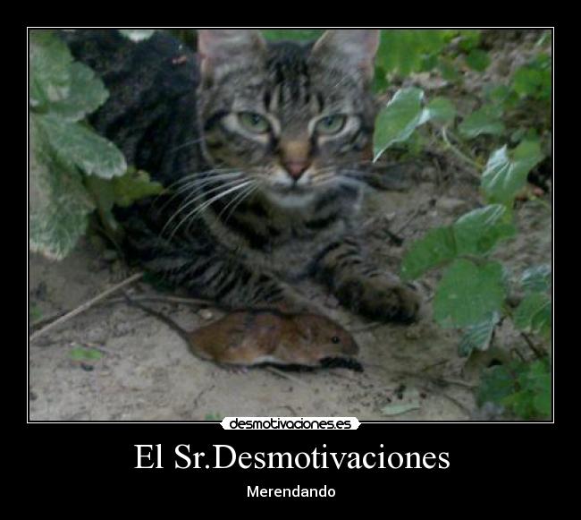 El Sr.Desmotivaciones - Merendando