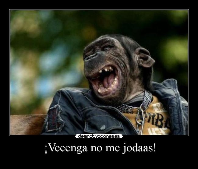 ¡Veeenga no me jodaas! -