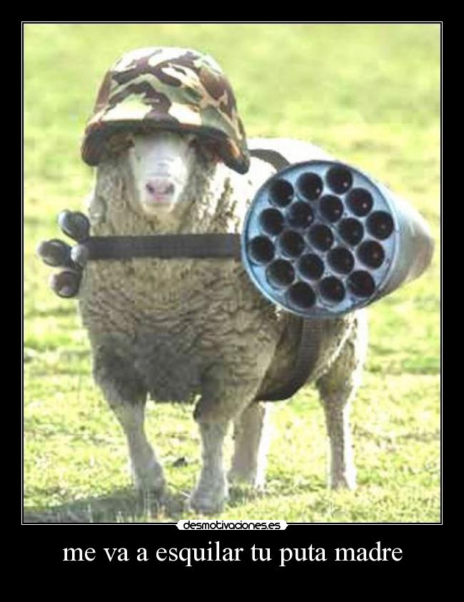 me va a esquilar tu puta madre -