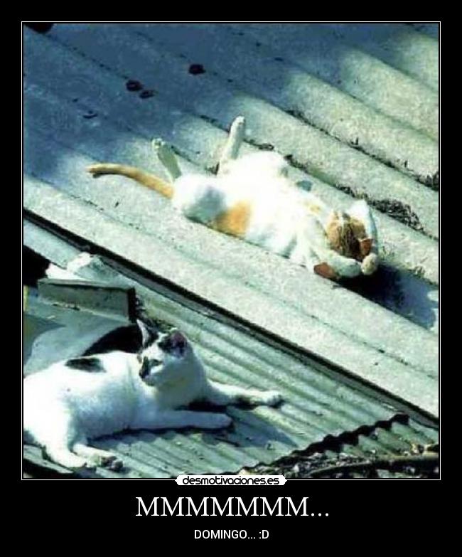 MMMMMMM... - DOMINGO... :D
