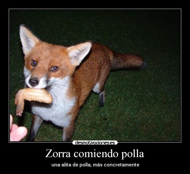 carteles zorro zorra comiendo pollo polla desmotivaciones