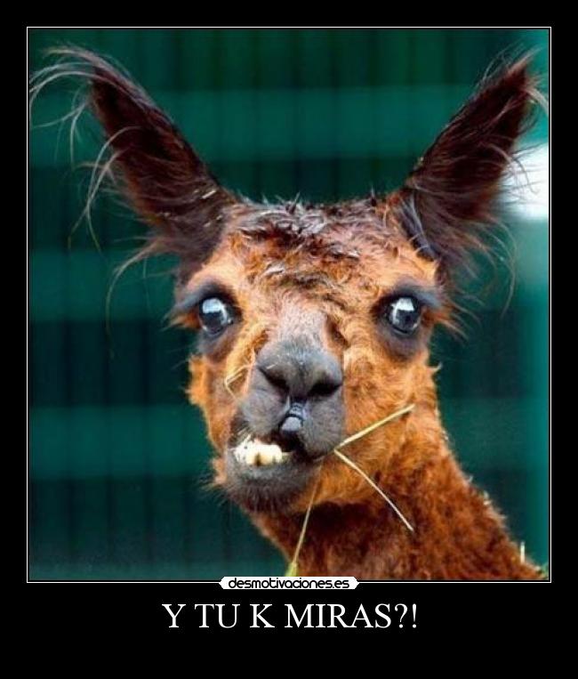 Y TU K MIRAS?! - 