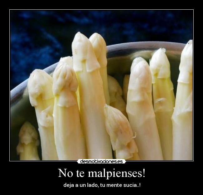 No te malpienses! - 