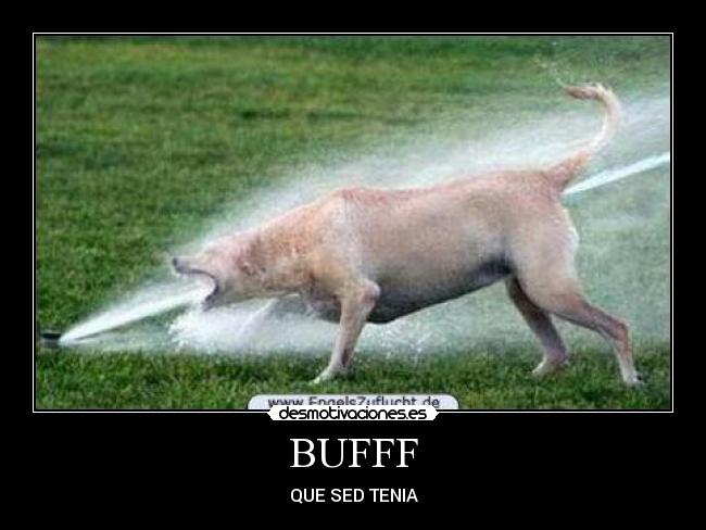 BUFFF - QUE SED TENIA