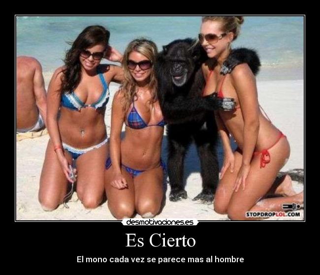 Es Cierto - El mono cada vez se parece mas al hombre