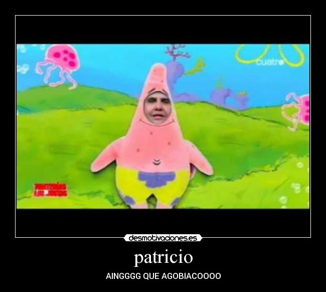 patricio -