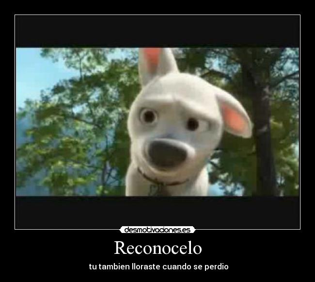 Reconocelo -