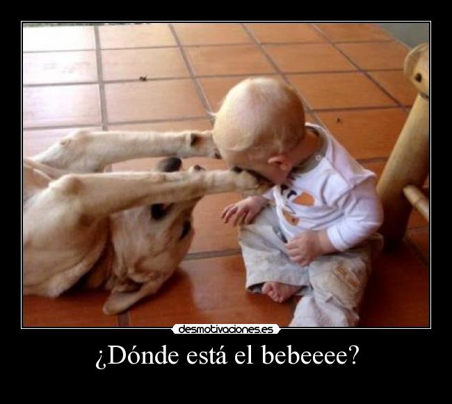¿Dónde está el bebeeee? -