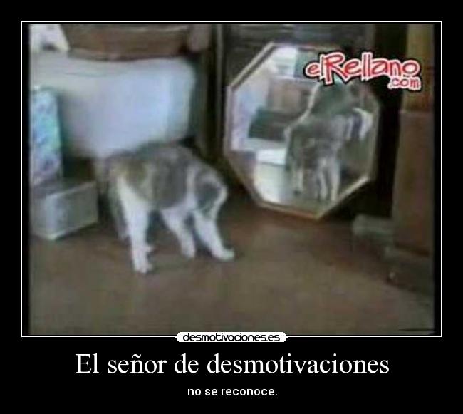 El señor de desmotivaciones - no se reconoce.