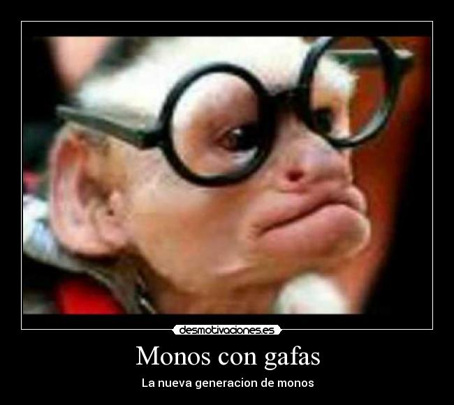 Monos con gafas - 