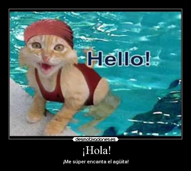 ¡Hola! - 