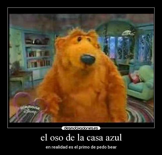carteles casa oso casa azul pedo bear desmotivaciones