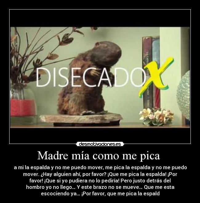 Madre mía como me pica -