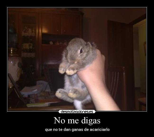 No me digas - 