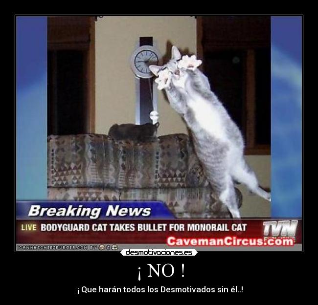 ¡ NO ! -  ¡ Que harán todos los Desmotivados sin él..!