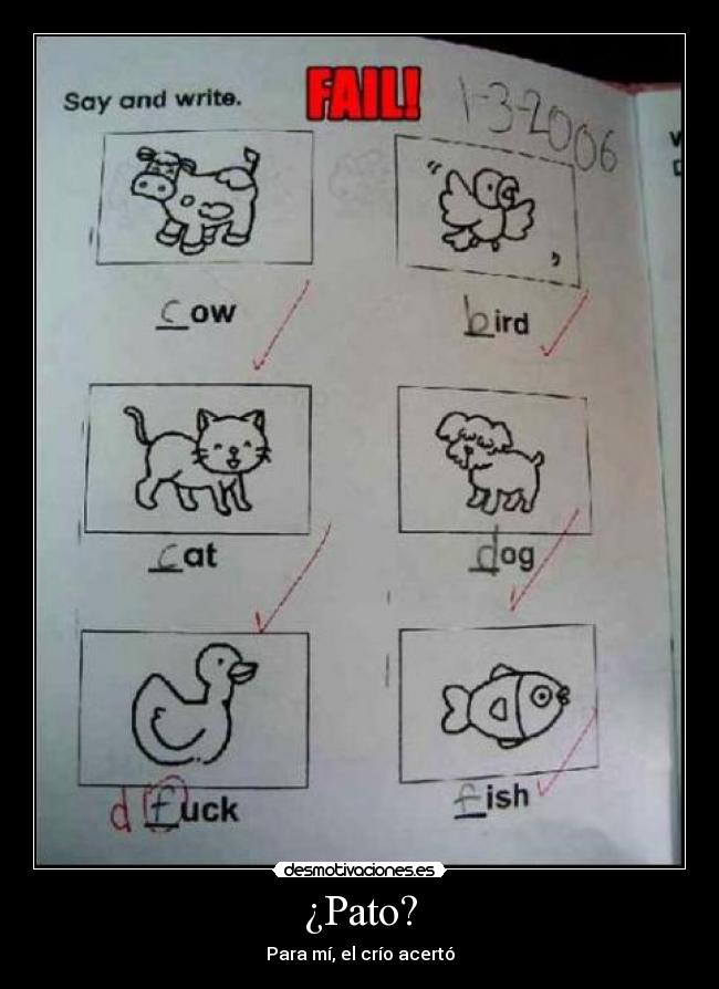 ¿Pato? -