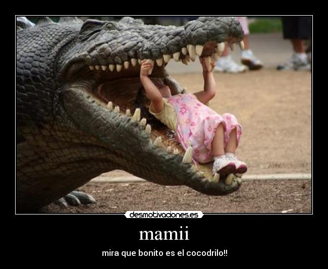 carteles mamii desmotivaciones