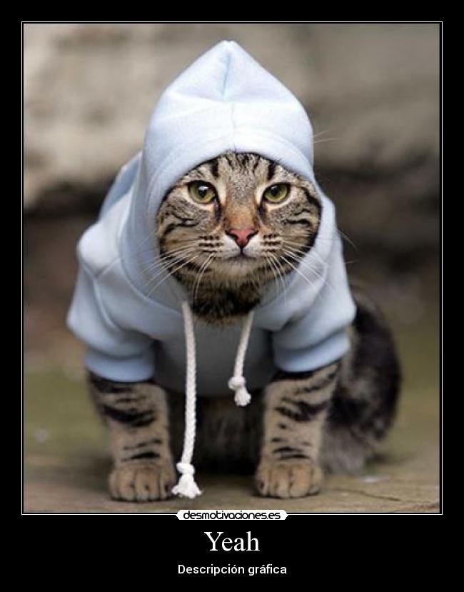 Yeah - Descripción gráfica