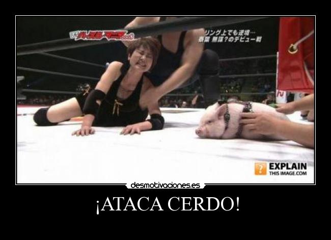 ¡ATACA CERDO! - 