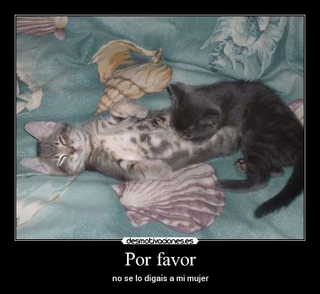 Por favor -