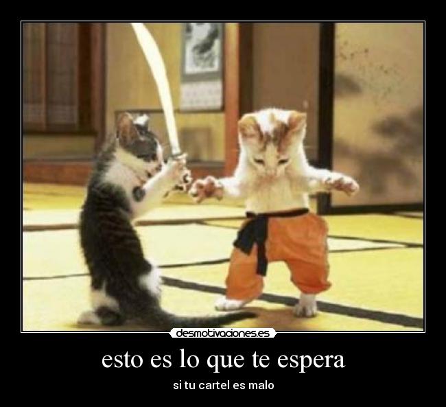 esto es lo que te espera - 