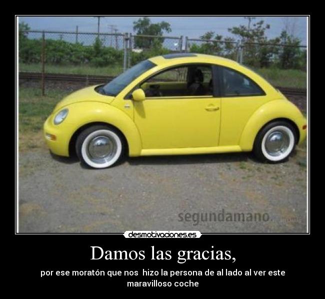 Damos las gracias, -