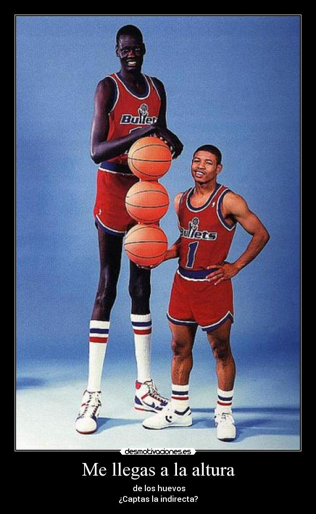 Me llegas a la altura -