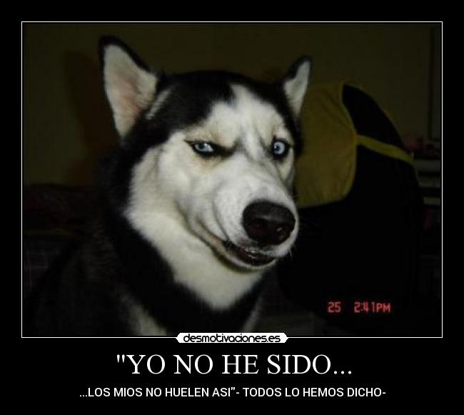 YO NO HE SIDO... - 