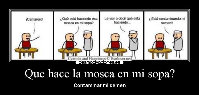 Que hace la mosca en mi sopa? - 