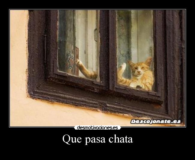 carteles que pasa chata desmotivaciones