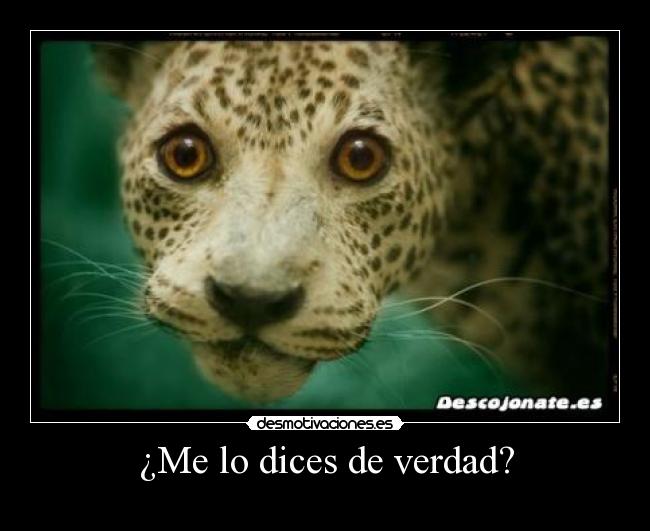 ¿Me lo dices de verdad? - 