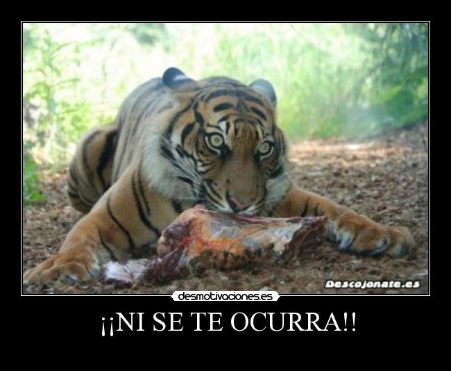 ¡¡NI SE TE OCURRA!! -