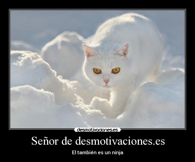 Señor de desmotivaciones.es - 