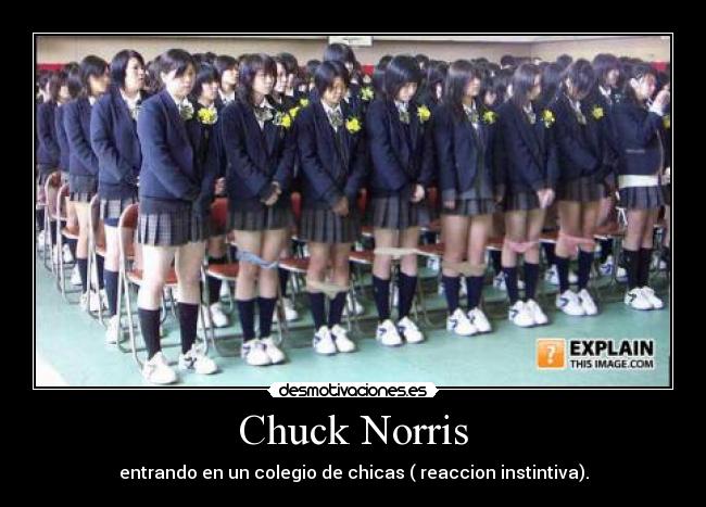 carteles chuck norris colegio chicas miedo acojonamientoreccion instintiva desmotivaciones