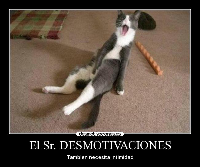El Sr. DESMOTIVACIONES -