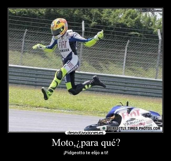 Moto,¿para qué? - ¡Pidgeotto te elijo a tí!