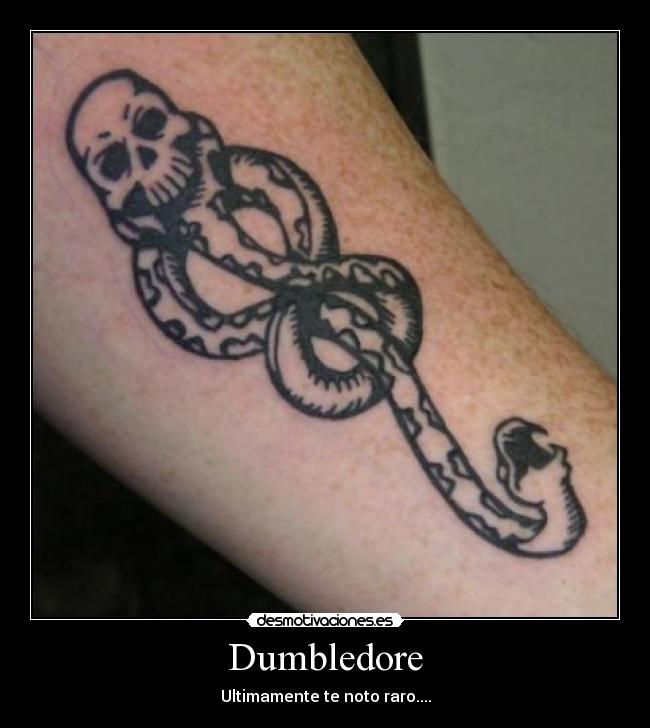 Dumbledore - Ultimamente te noto raro....