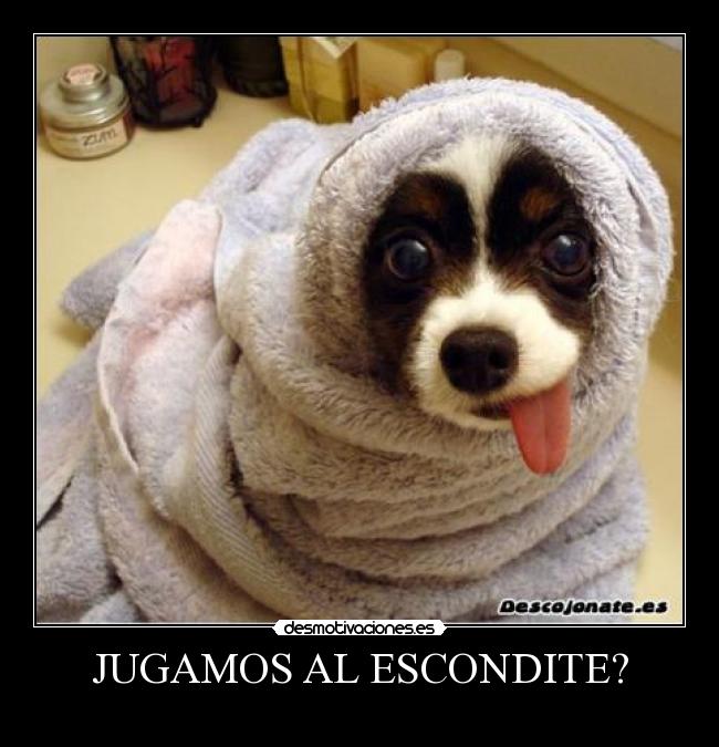 JUGAMOS AL ESCONDITE? - 