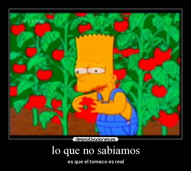 lo que no sabiamos - es que el tomaco es real