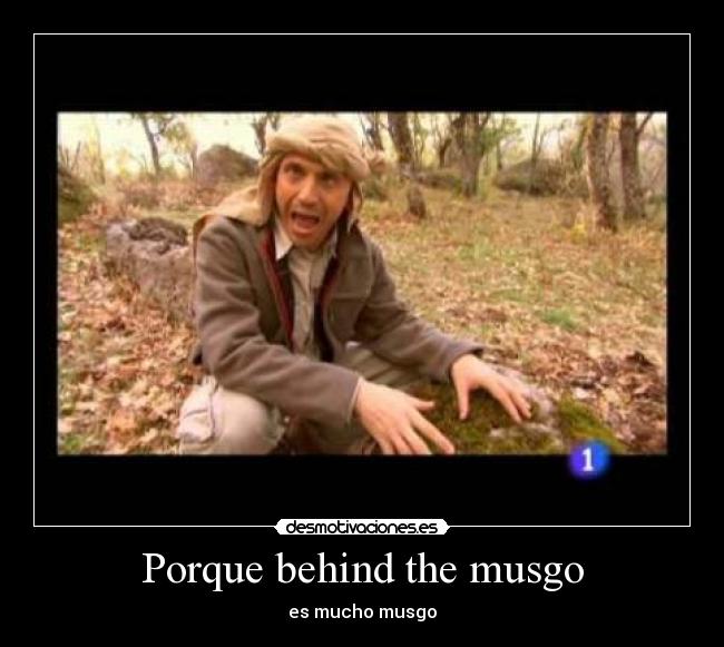 Porque behind the musgo - es mucho musgo
