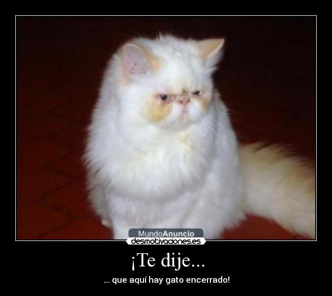 ¡Te dije... - 